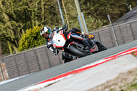 Oulton-Park-20th-March-2020;PJ-Motorsport-Photography-2020;anglesey;brands-hatch;cadwell-park;croft;donington-park;enduro-digital-images;event-digital-images;eventdigitalimages;mallory;no-limits;oulton-park;peter-wileman-photography;racing-digital-images;silverstone;snetterton;trackday-digital-images;trackday-photos;vmcc-banbury-run;welsh-2-day-enduro